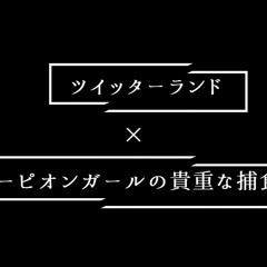 ツイッターランドのスコーピオンガール【STEAKA×STEAKA】
