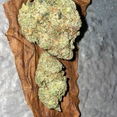 Warning Shots (freestyle)