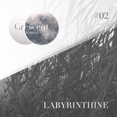 • Crescent Textures #02 • Labyrinthine