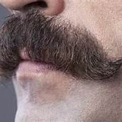 أنت ذو شارب يا ربيع - قصة قصيرة