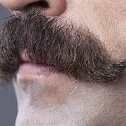 أنت ذو شارب يا ربيع - قصة قصيرة