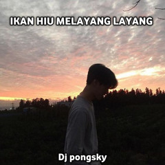 Ikan Hiu Melayang Layang