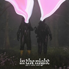 In The Night - OMYN & Space Cadet