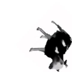 polish cow (electro edit)
