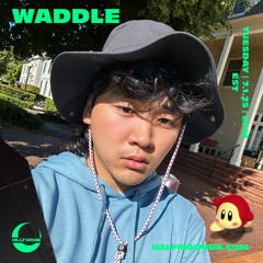 WADDLE | Acid Techno, Trance, Hardgroove | HALFMOON BK