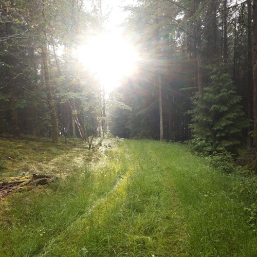 intet feat. plus81kevn (prod. lego)