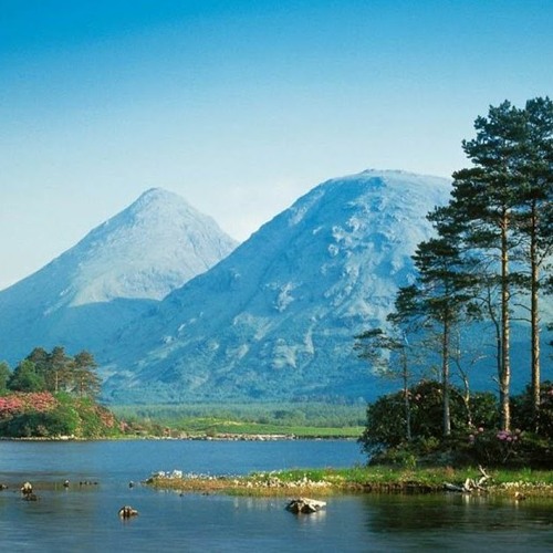 Stream Everybody Knows This Is Nowhere cover by Glen Evertsen