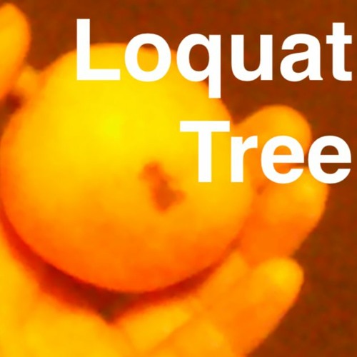 Loquat Tree