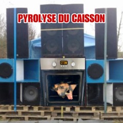 Pyrolyse Du Caisson