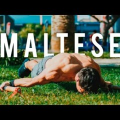 Maltese Masters  Motivation Video