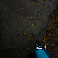 em meio a selva triste