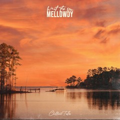 Mellowdy - Wait For You