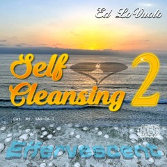 Effervescent (Self Cleansing 2 demo)