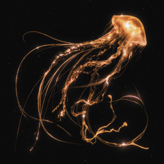 Icy Rainstorms and Overgrown Melodies 2025 - 2