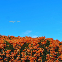 Want You Now