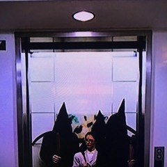 circuit break - guesthouse shows