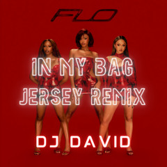 In My Bag (DJ David Jersey Remix)