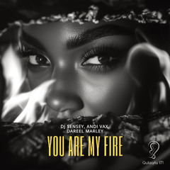 DJ Sensey, Andi Vax, Dareel Marley - You Are My Fire (Radio Mix)
