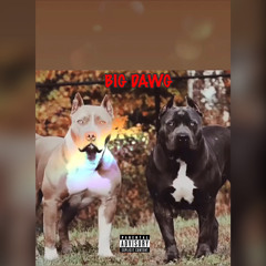 BIG DAWG