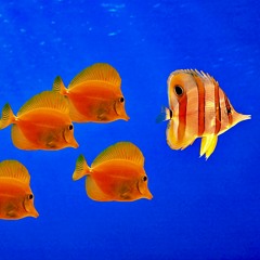 ლ༽◞ ༎ຶ ༽ৣৢ؞ৢ؞ؖ ꉺლ