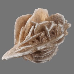 лиза фикус в саду камней 2