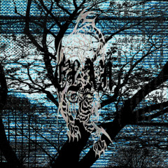 Stereotypical Japanese Harsh Noise