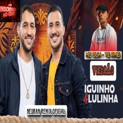 MC DUH - TE AMEI VERSÃO IGUINHO E LULINHA
