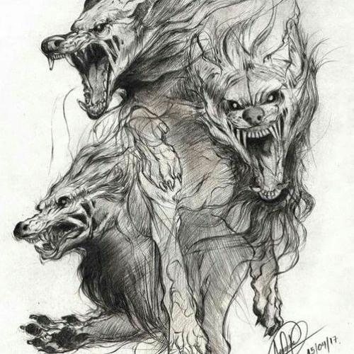 dysmorphia