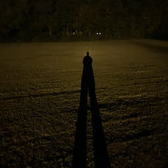 the park song (demo)