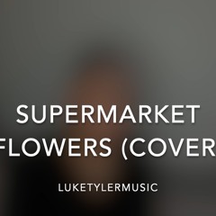 Supermarket Flowers - Ed Sheeran (LukeTylerMusic Cover)