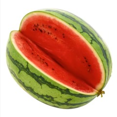 Leve Palestina & Azealea