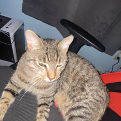 Mongraal x Yeat (Slowed +Bass Boosted