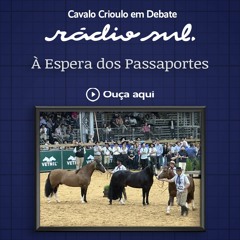 Cavalo Crioulo Em Debate - À Espera Dos Passaportes