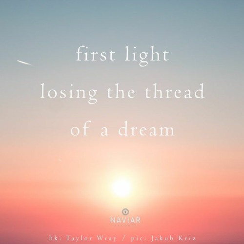 Dream light [naviarhaiku451 - first light]
