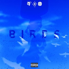 Birds in the Sky