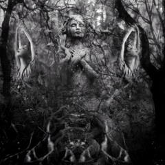 KINGDOM OF DRYAD [215 BPM] SELF-MASTERED