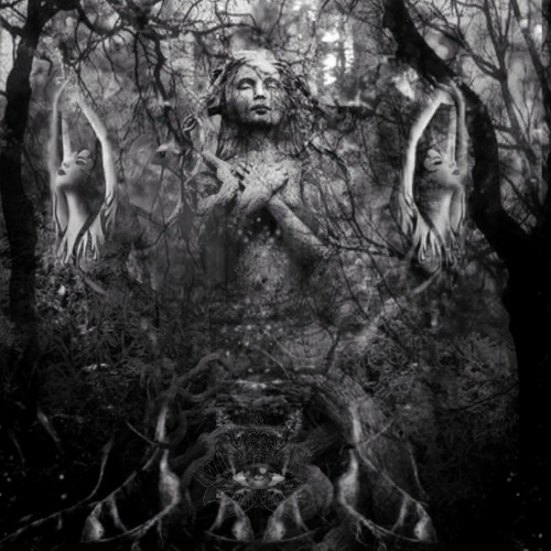 KINGDOM OF DRYAD [215 BPM] SELF-MASTERED