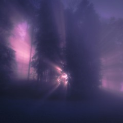 Night Owl w/Æbsent