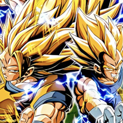 PHY LR SSJ3 Goku and SSJ2 Vegeta Standby Skill OST