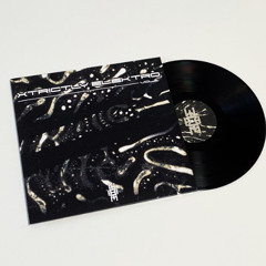 TL PREMIERE : Spectrums Data Forces - Darkness In My Head [Cosmic Tribe]