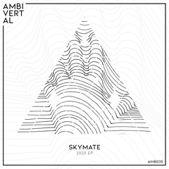 Skymate - Principle (Original Mix) / Preview