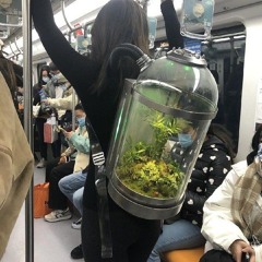 Prod me (idgad / iongivahdamn)