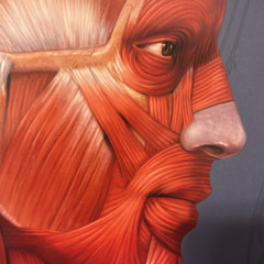 NifT.Dubz Debut Mix🫨