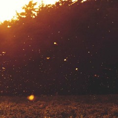 J Dilla - Sunbeams(koru Remix)