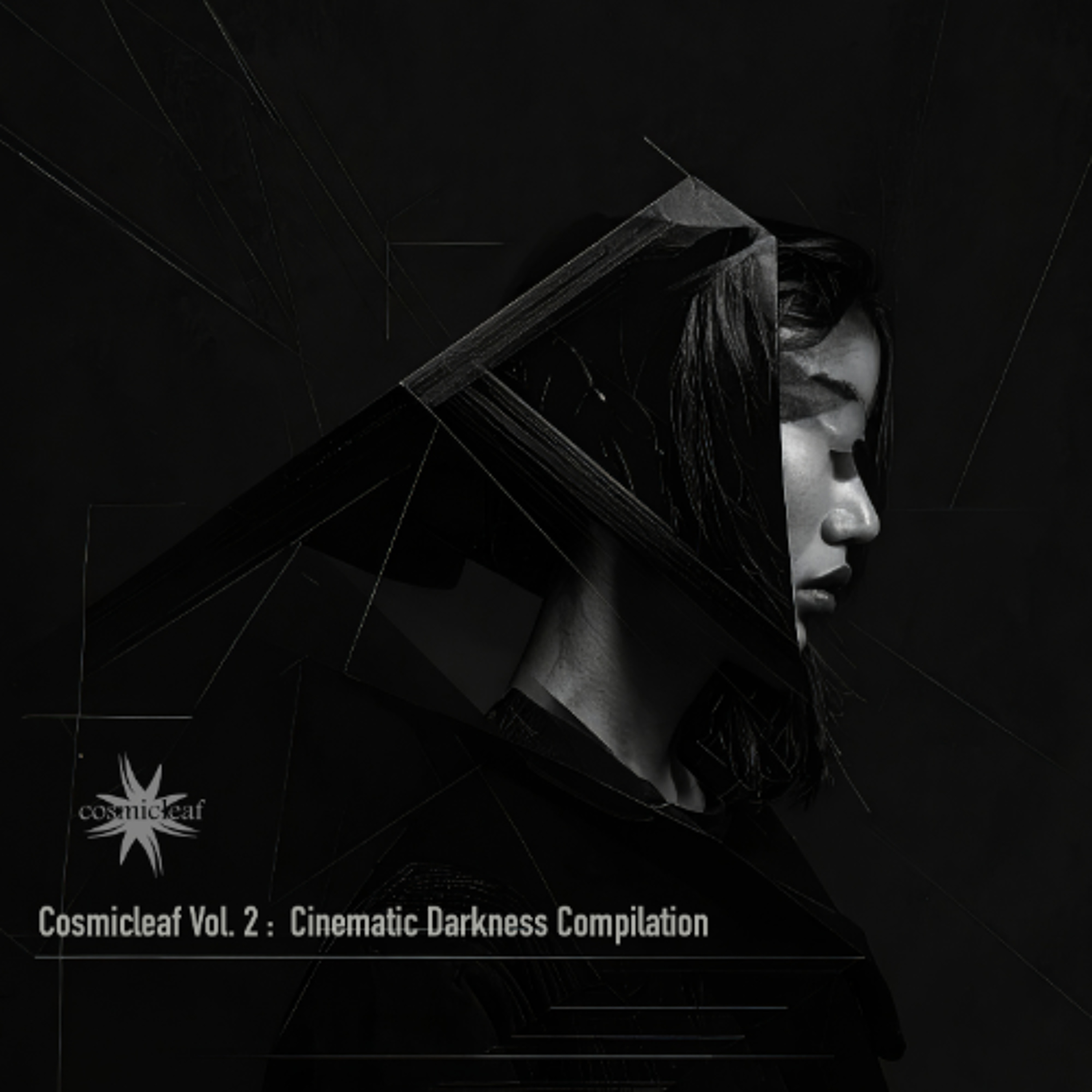 EXC002 Cinematic Darkness Compilation – Cosmicleaf Vol. 2 (CD+Download)