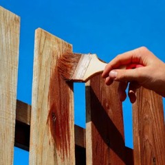 Which Is Better Roll Or Spray Staining On Fences?