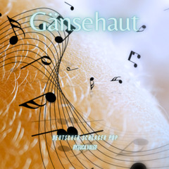 Gänsehaut (Radio edit)