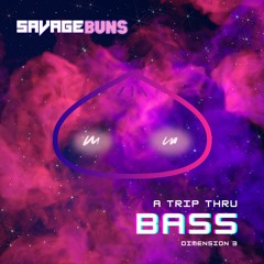 A Trip Thru Bass: DimensiØn 2