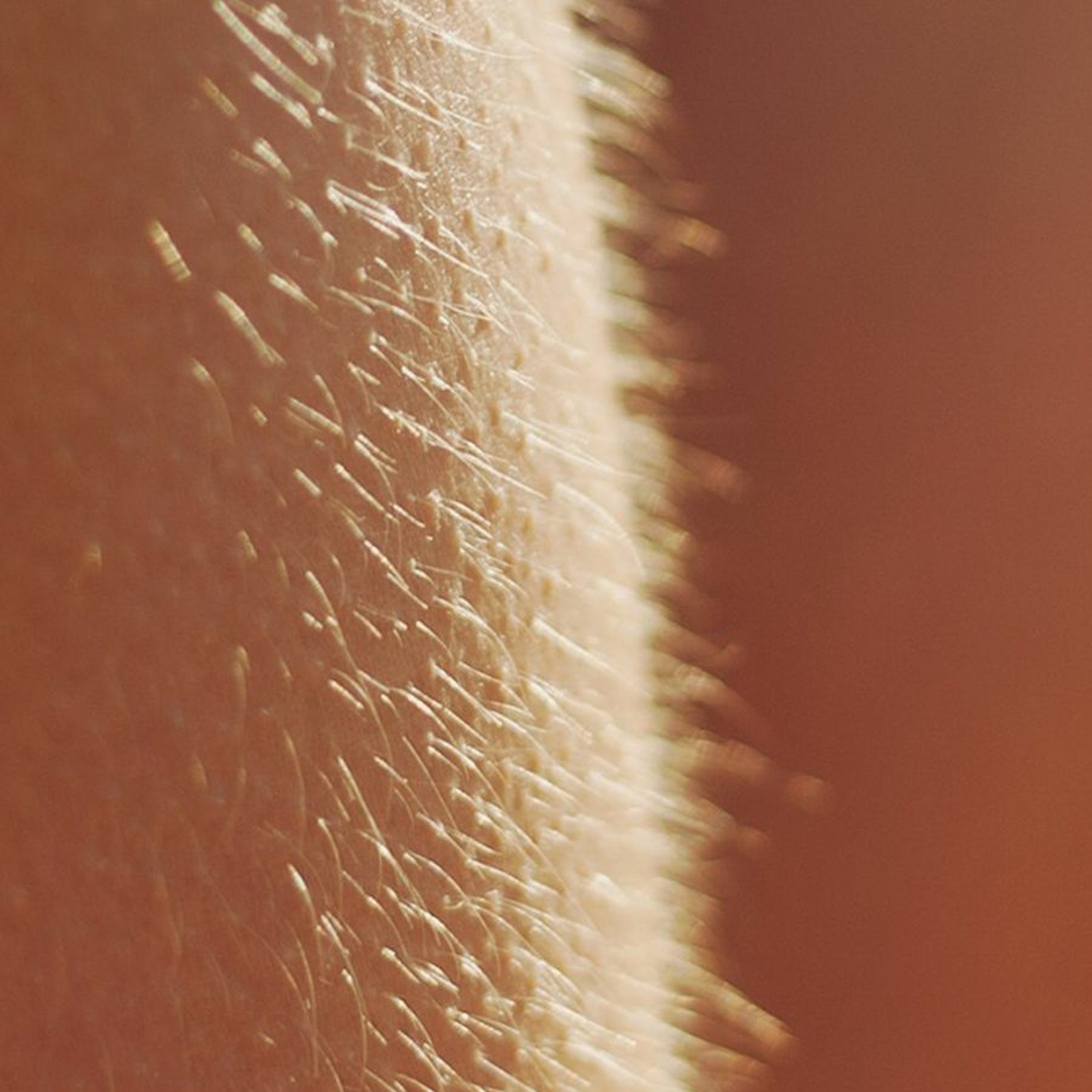 Skin 2 episode artwork
