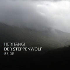 Herhangi - Der Steppenwolf (B Side)